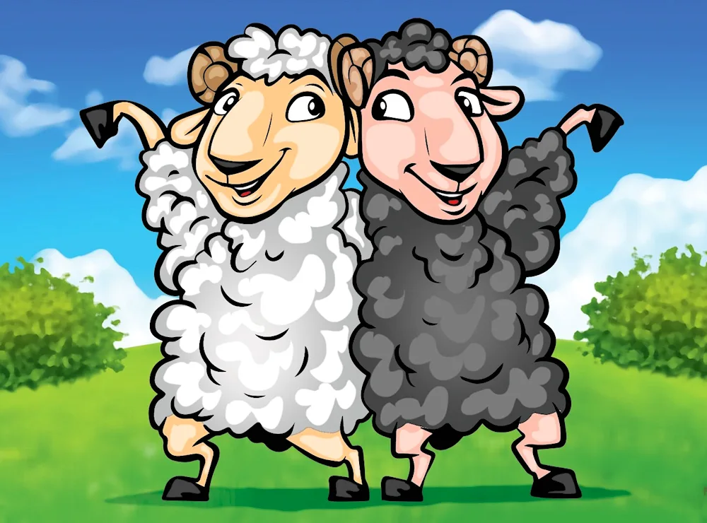 Two sheep