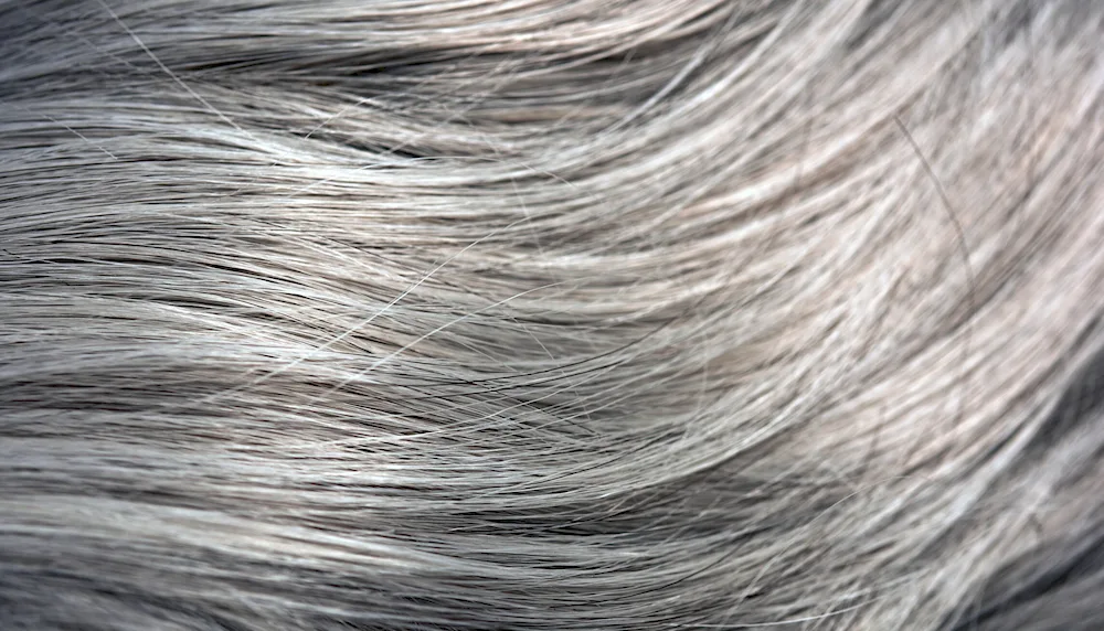 Early Grey hair ash 8. 1