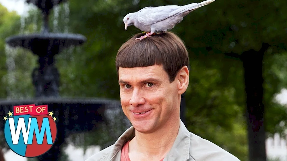 Jim Carrey in Dumb and Dumber