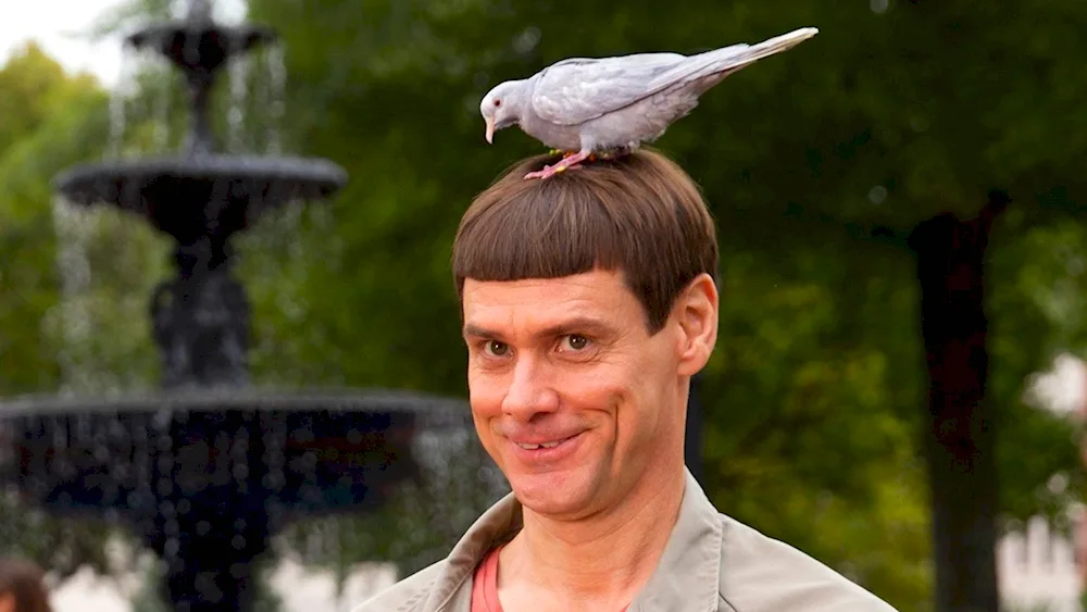 Potty on his head. hairstyle