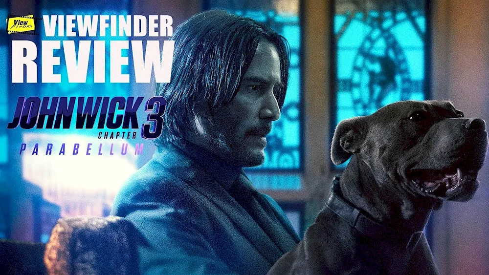 John Wick 3 dogs