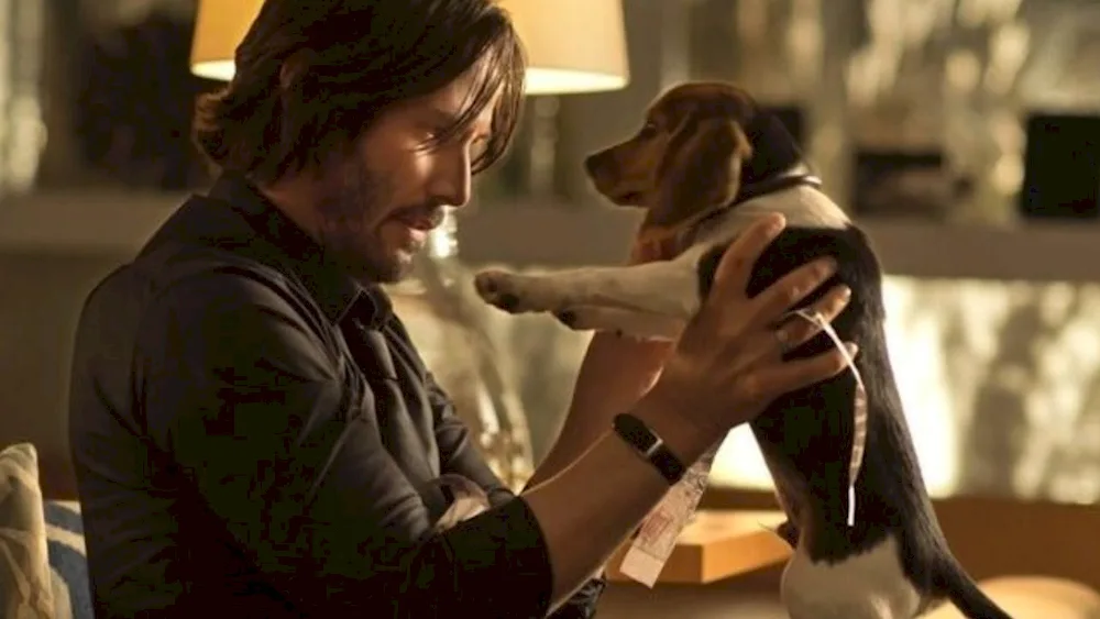 John Wick 3 dogs