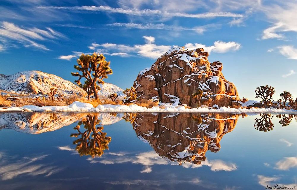Joshua Tree National Park