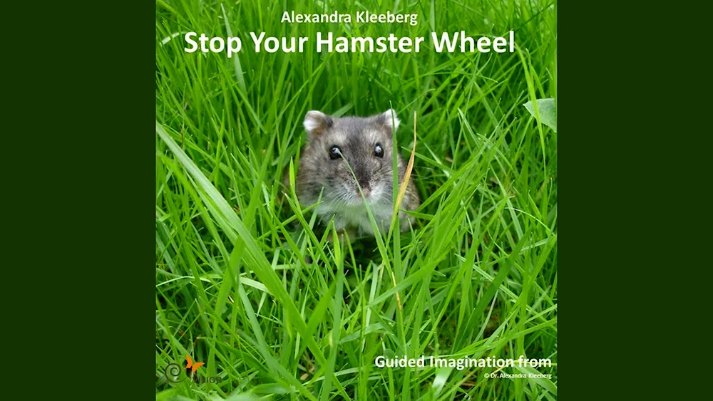 Jungarian hamster