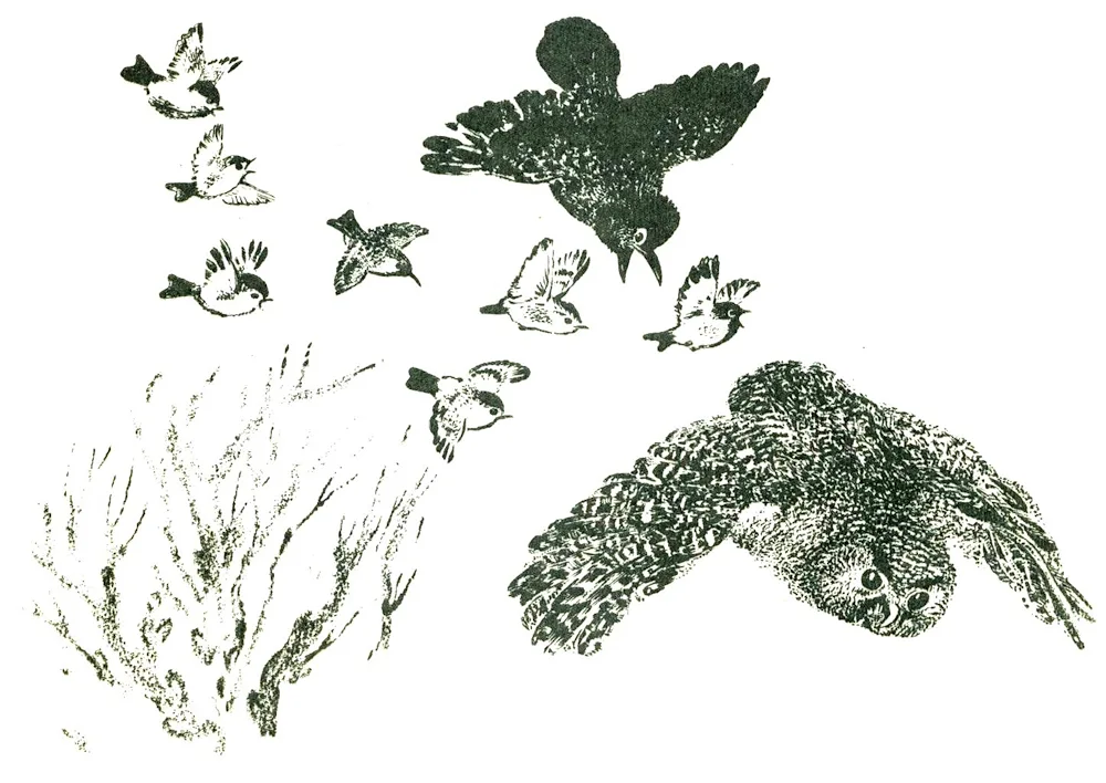 Jungle bird paradise by Charushin