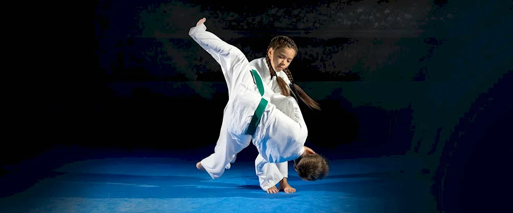 Judo jiu-jitsu