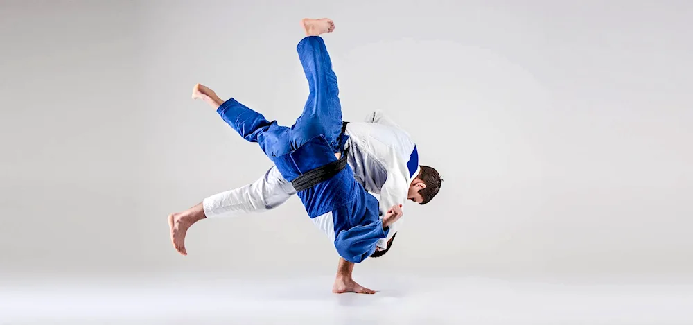 Judo throwing