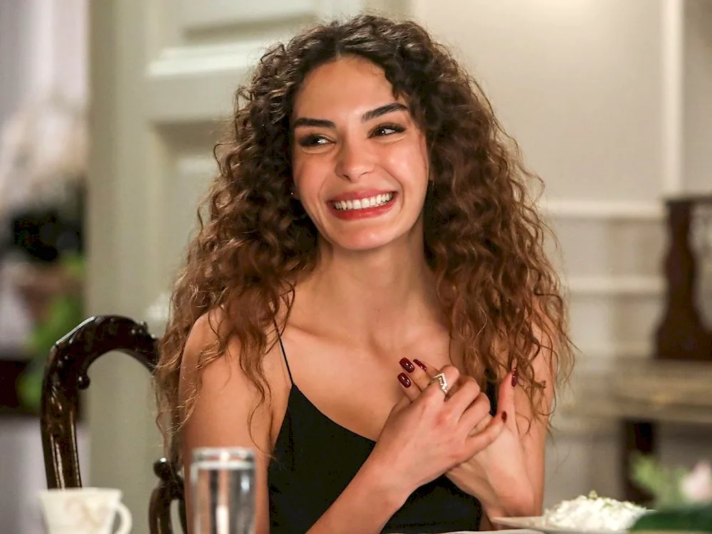 Ebru Shaheen