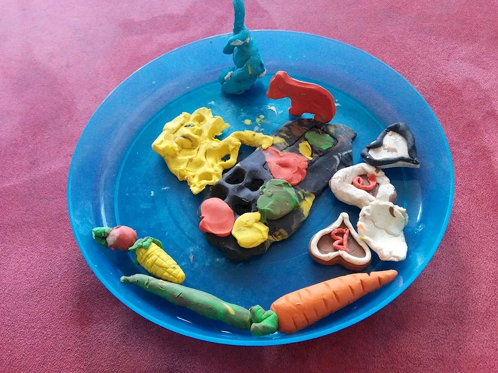 Plasticine food