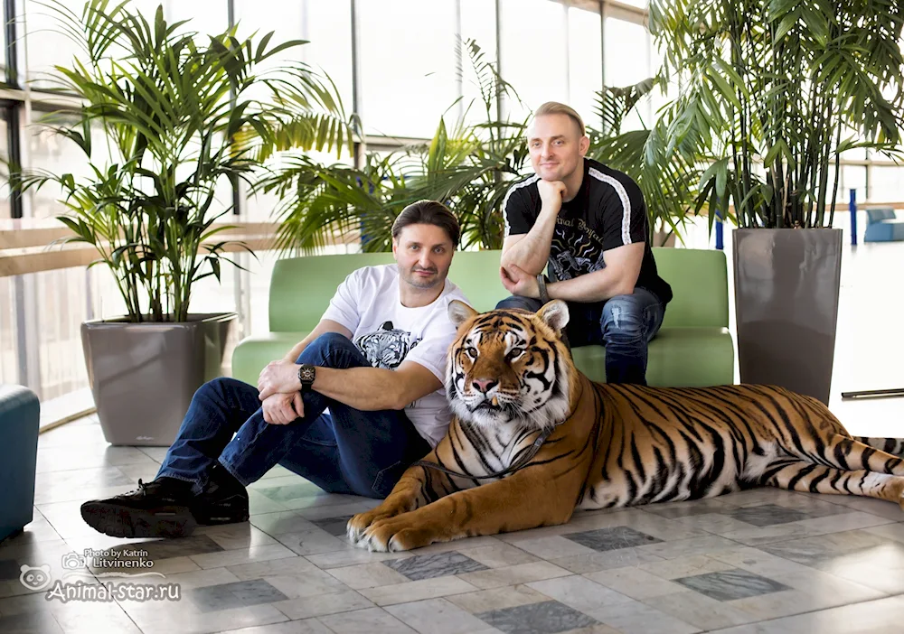 Edgard Zapashny with tigers