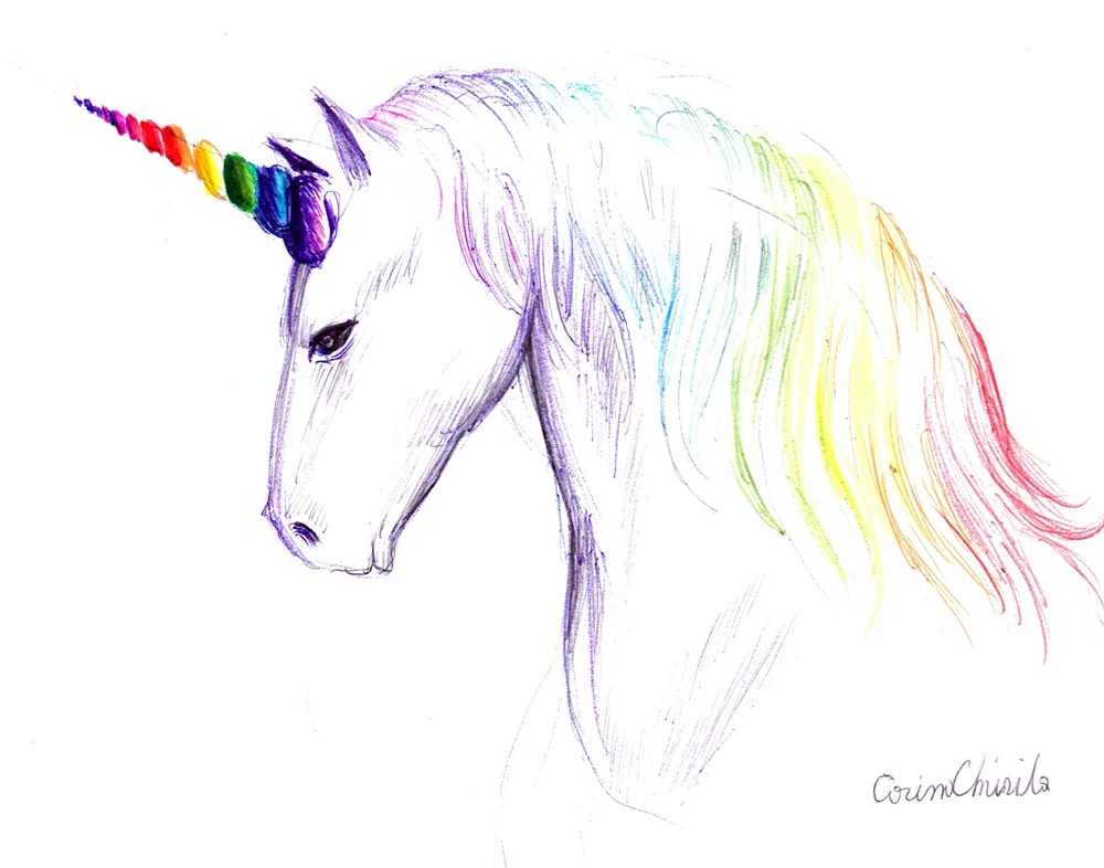 Simple Dimple Unicorn