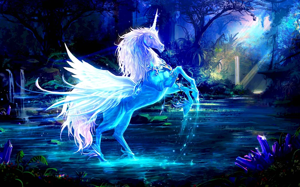 Mia Boyko Unicorns