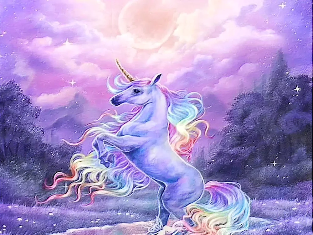 Unicorn photo