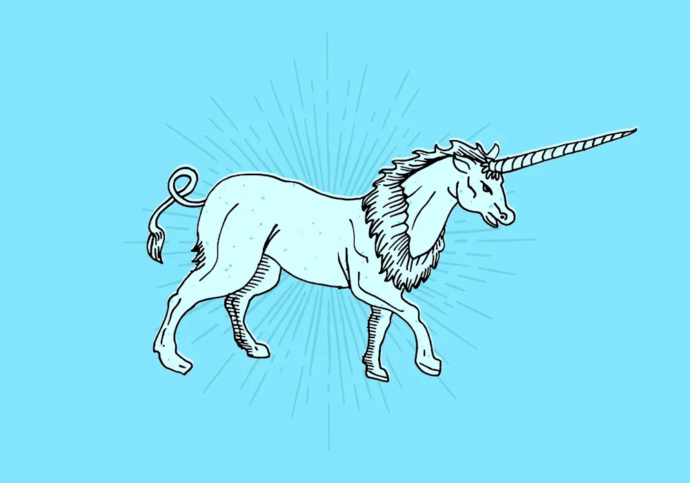 Unicorn