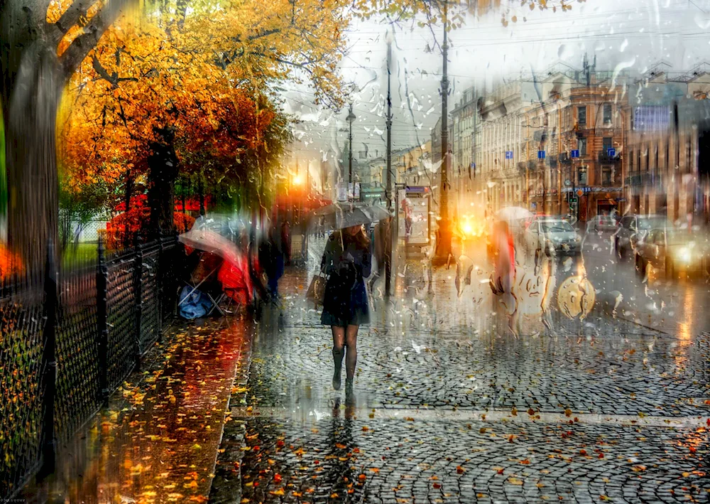 Autumn rain