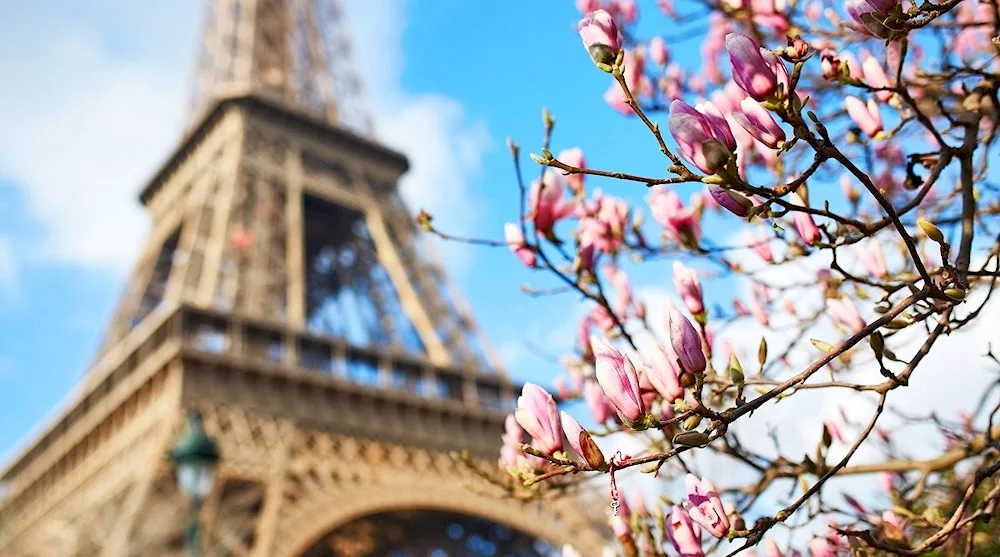 Eiffel Tower in Paris