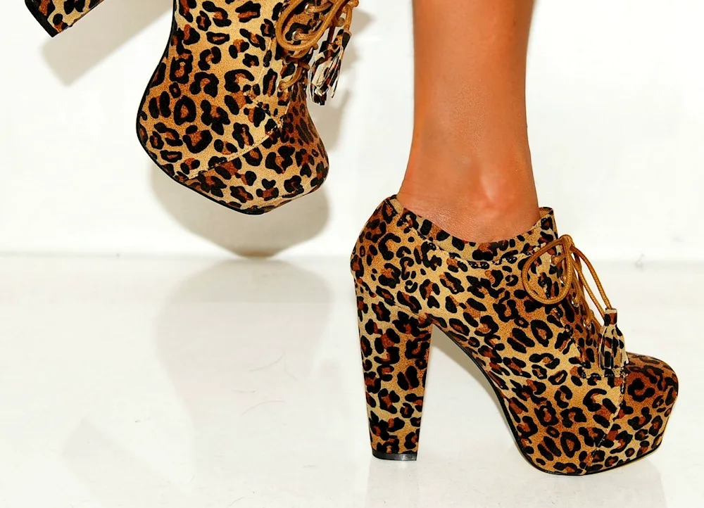 Econica leopard shoes