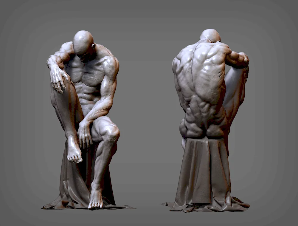 Anatomy reference