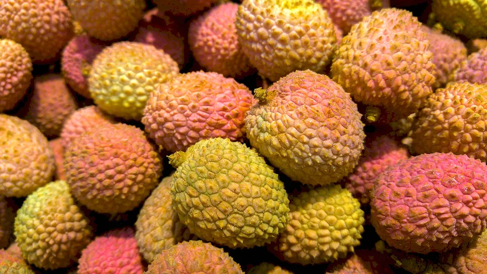 Exotic Fruit
