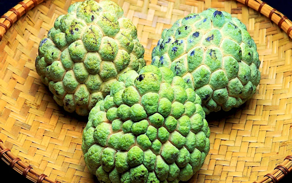 Exotic Fruit