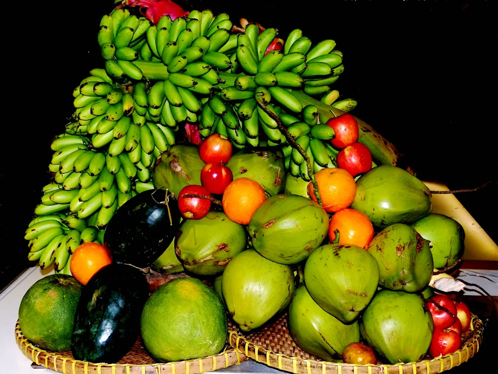 Exotic vegetables avocado papaya chayote