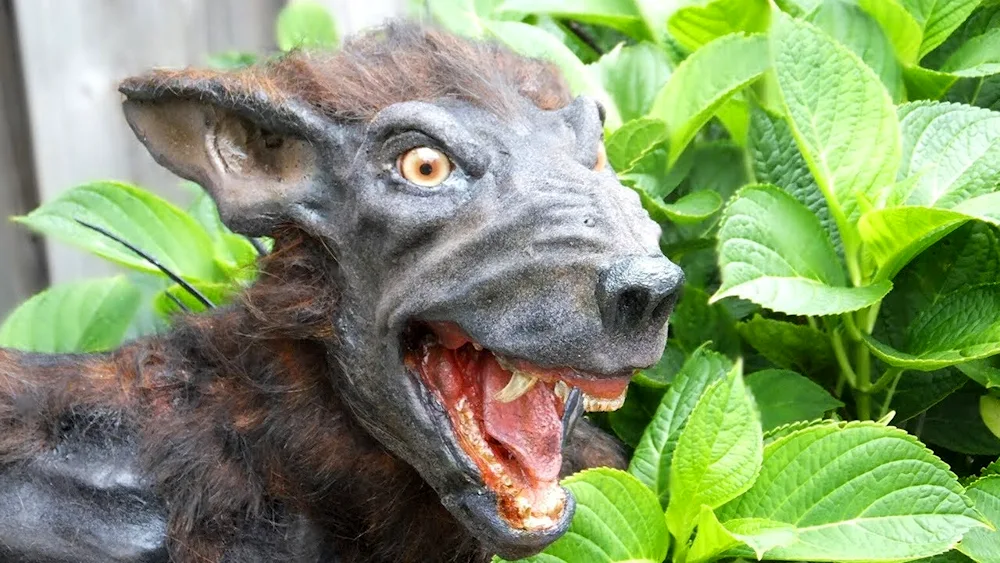 El chupacabra goat vampireEl chupacabra goat vampireEl chupacabra goat vampireEl chupacabra goat vampireEl chupacabra goat vampireEl chupacabra goat vampireEl chupacabra goat vampireEl chupacabra goat vampire. goat vampire