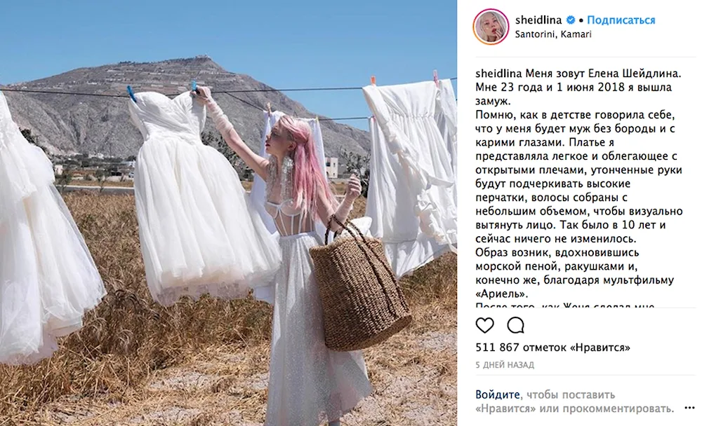 Elena Sheydlina wedding dress