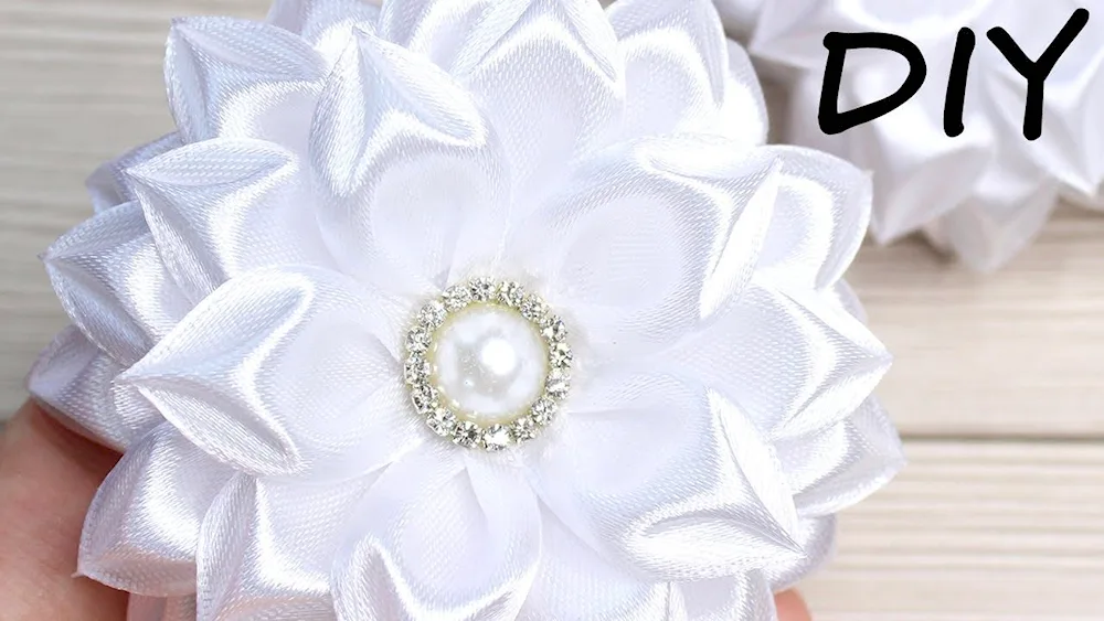 Bunny hair bands for hair