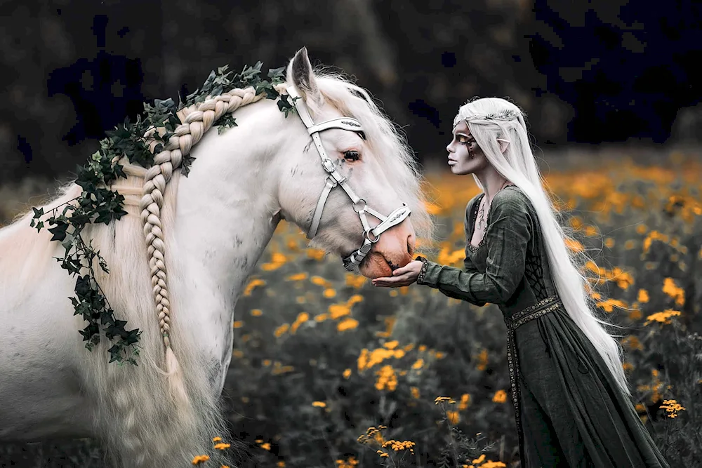 Galadriel and Frodo