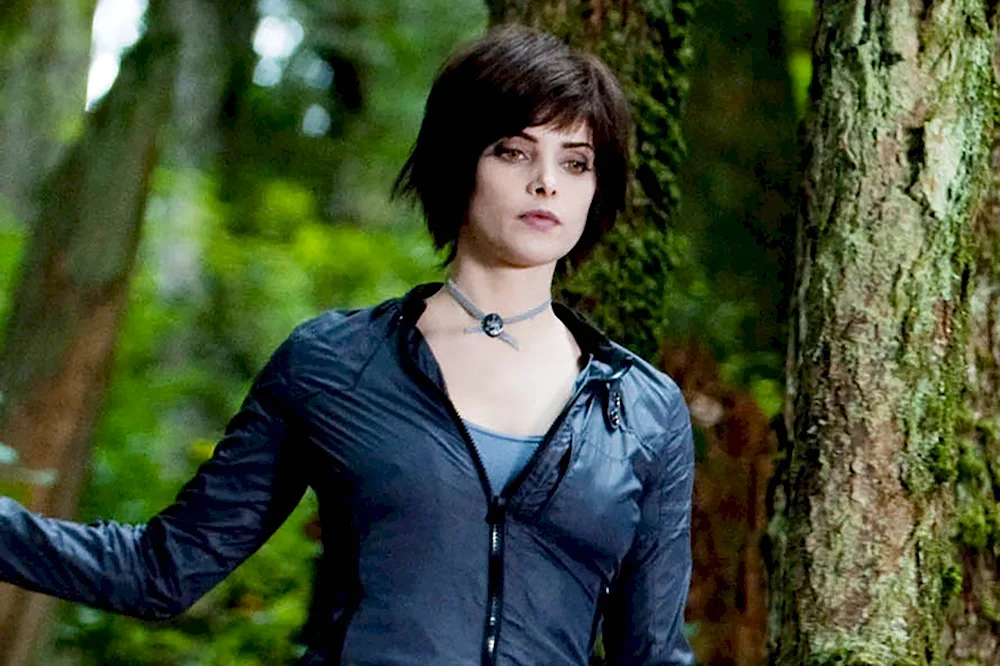 Elyse Cullen