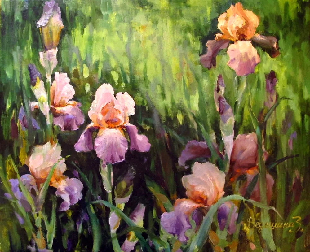 Irises