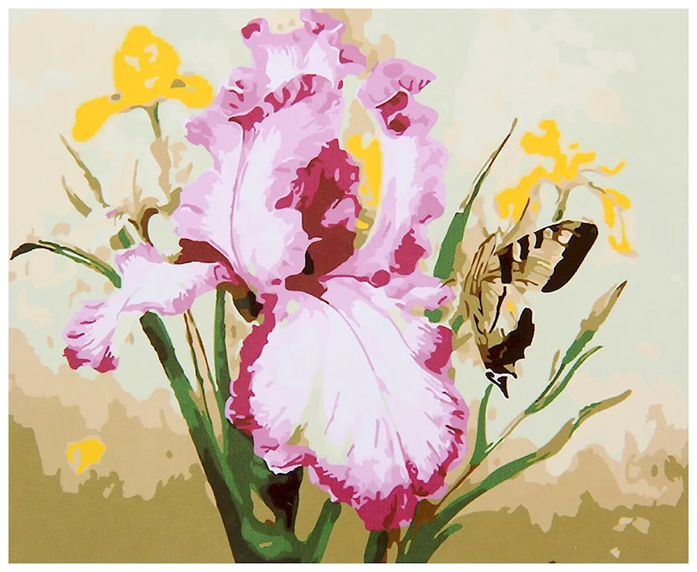 Elizabeth Horning irises