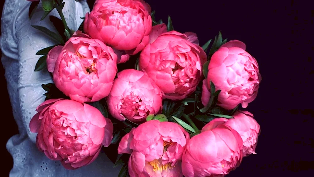 Emie Judd peonies