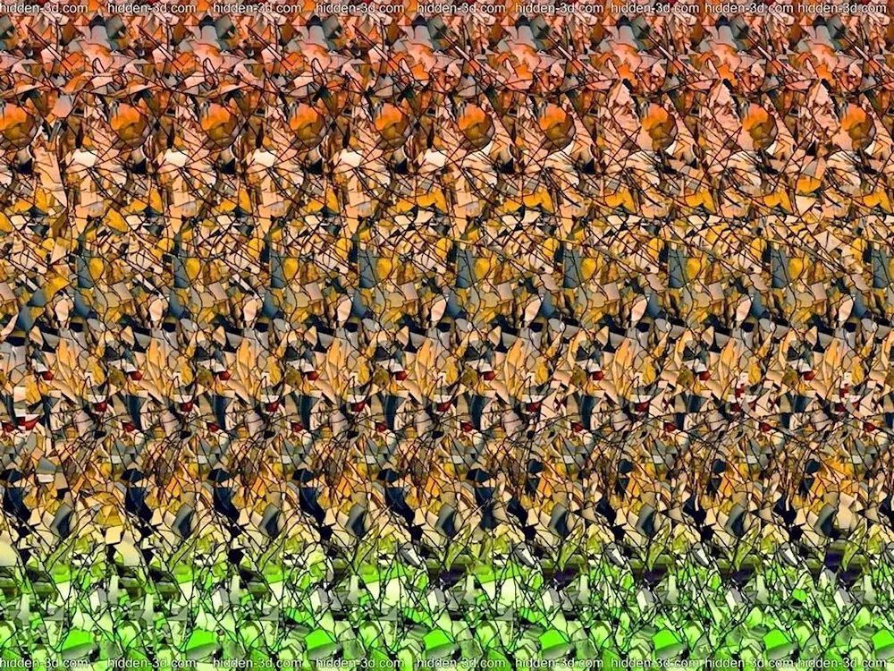 Buddha stereograms with answers