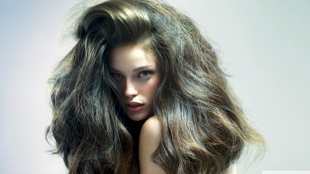 Emily Didonato hair