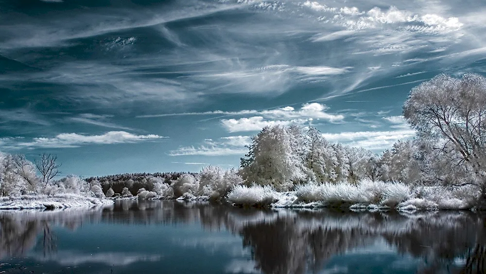 Winter winter