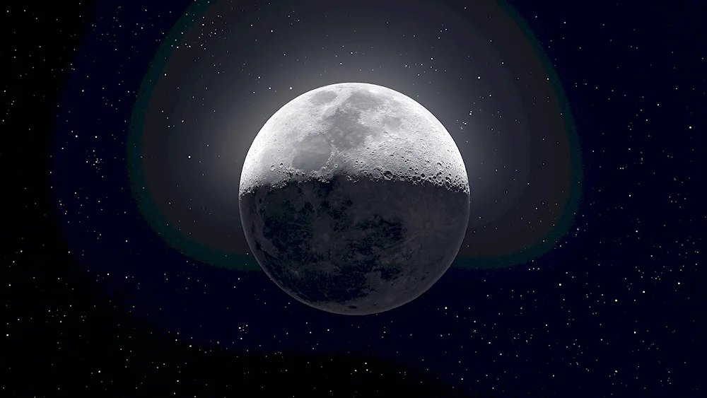 Night Moon