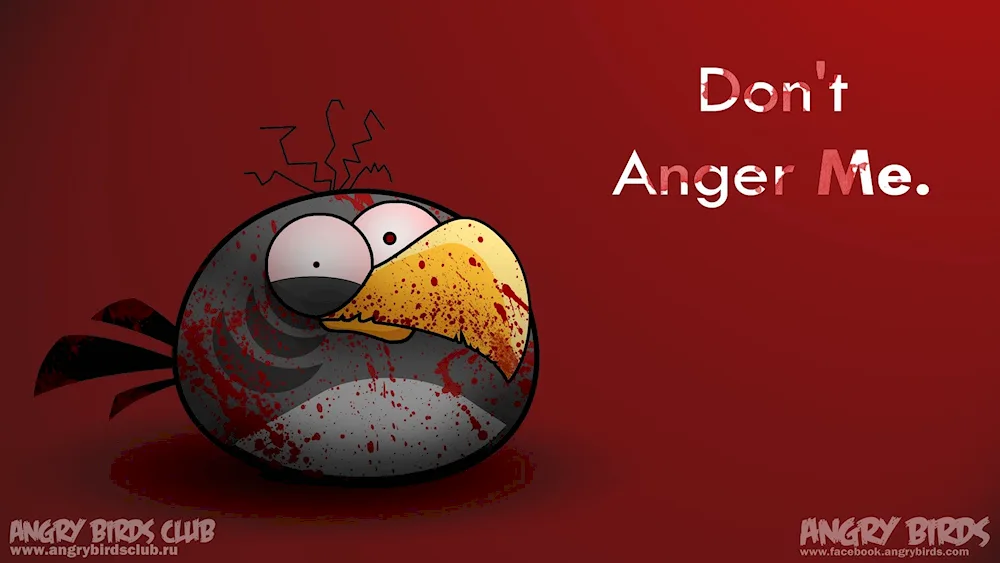 Angry Birds cartoon 2