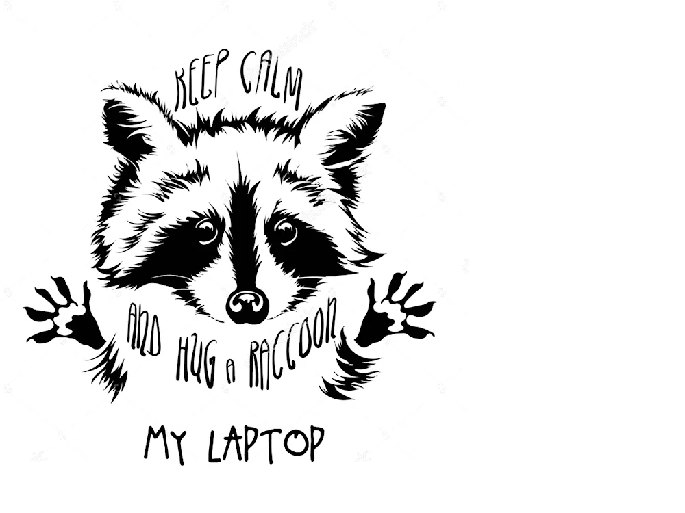 Step by step drawing of raccoon for kids