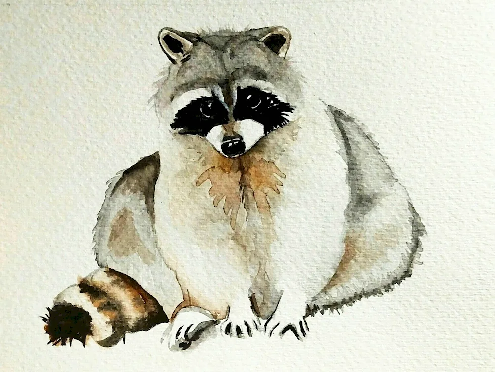 Kawaii Raccoon