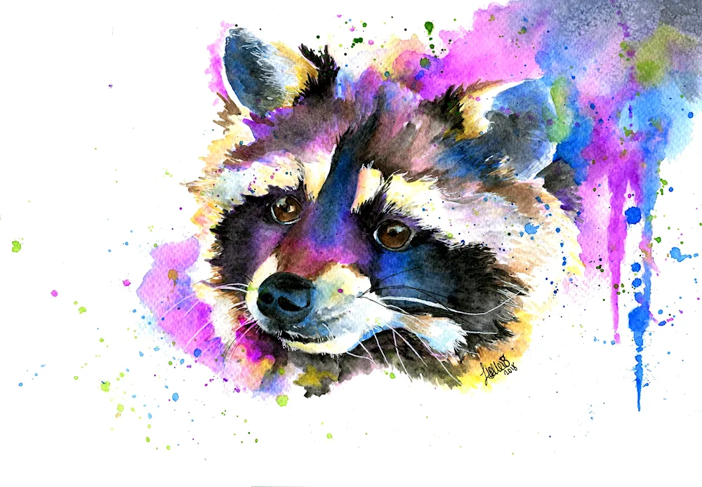 Raccoon drawing