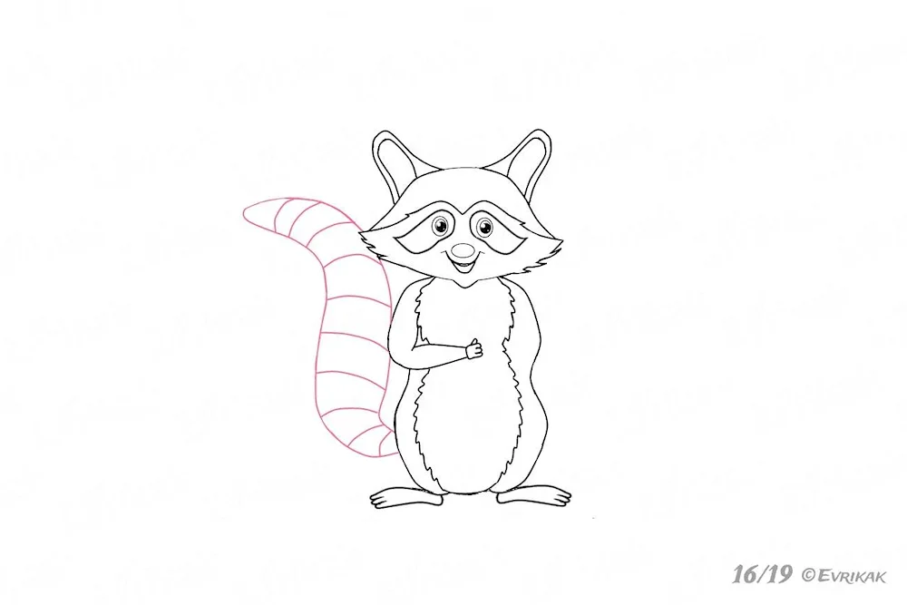Raccoon face drawing