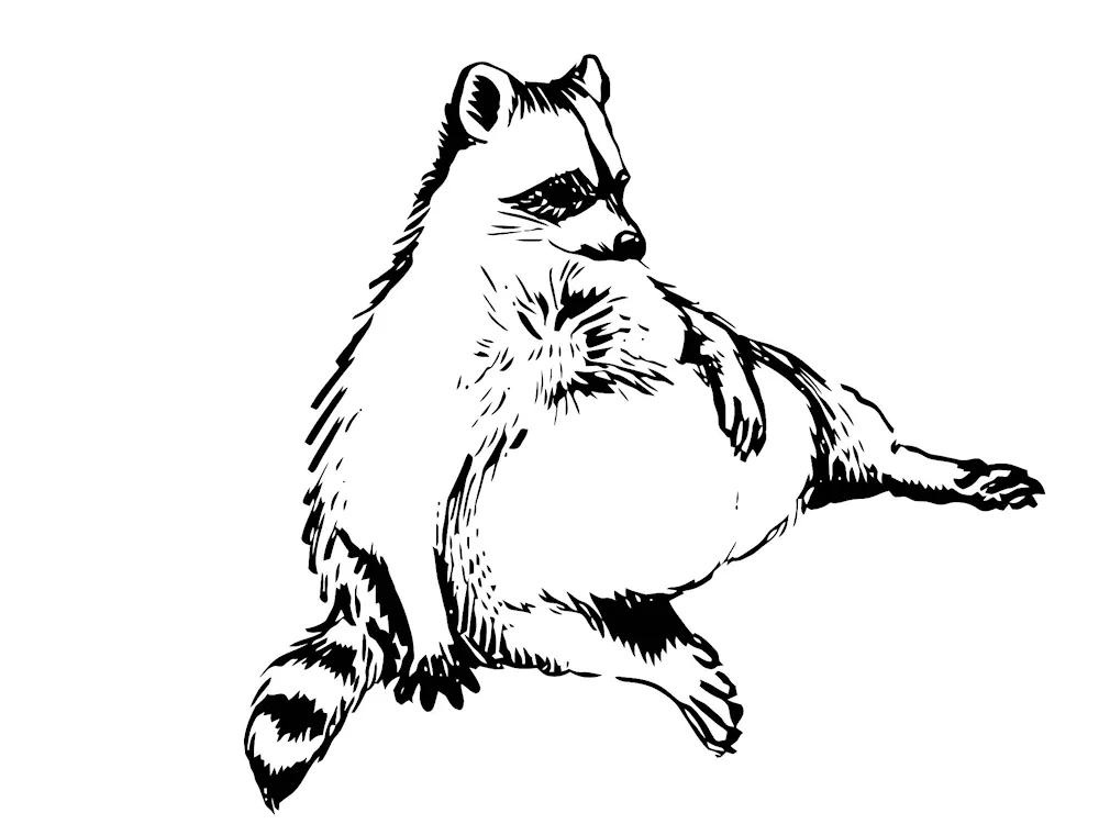 Drawing with strokes
