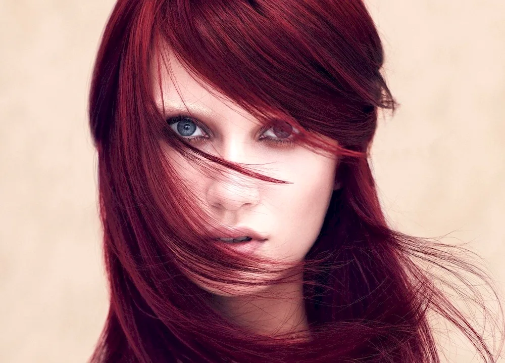 Ashley Greene with burgundy hair