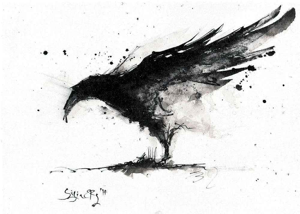 crow in flight