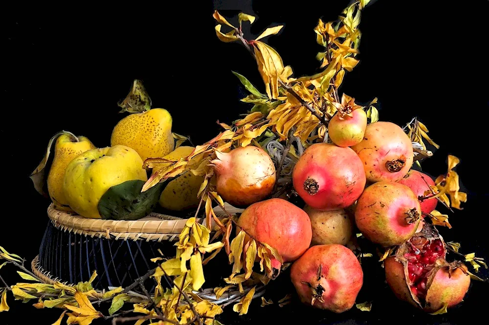 Pomegranate pomegranate