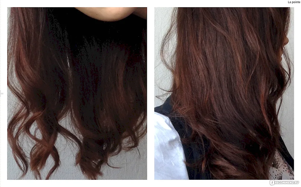 Garnier Luxury Chestnut Hair Dye