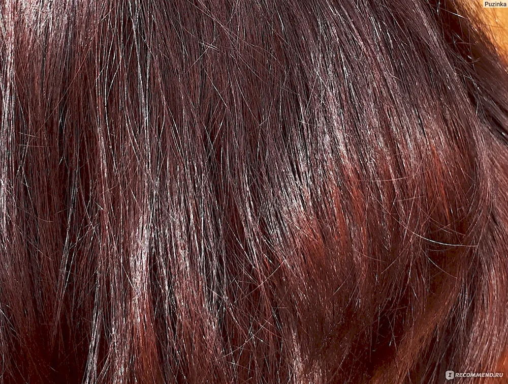Bielita Color Lux palette