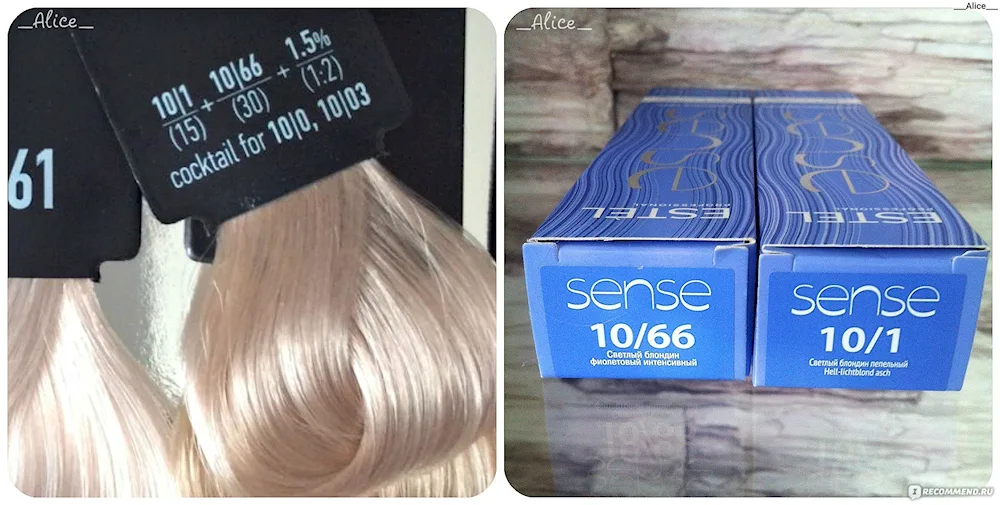 Estel hair tinting dye palette 10.75