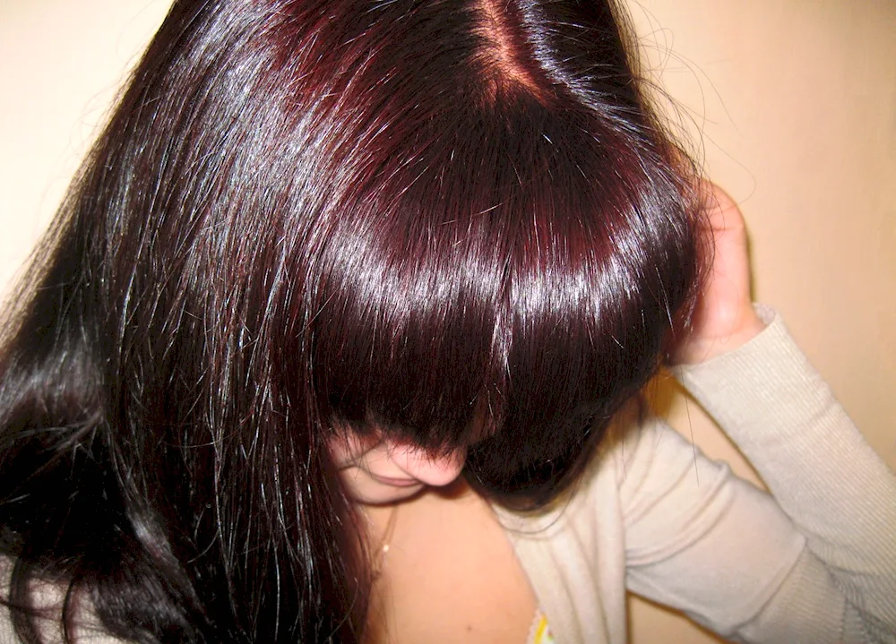 Garnier Royal Mahogany